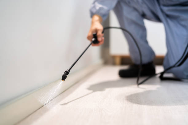 Licensed Mosquito Control service in Steilacoom, WA - Show Me Pest Control