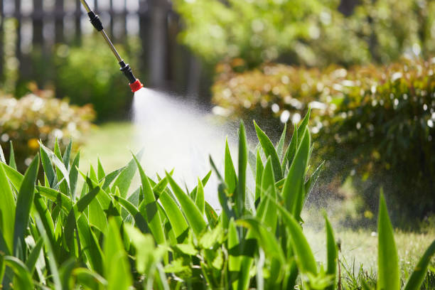 24/7 Emergency Mosquito Control experts in Steilacoom, WA