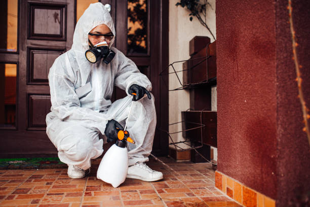 Reliable Mosquito Control contractor in Steilacoom, WA by Show Me Pest Control