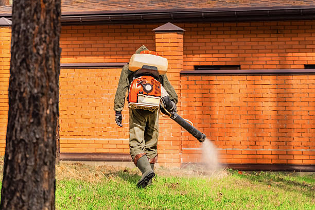 Top rated local Mosquito Control specialists in Steilacoom, WA